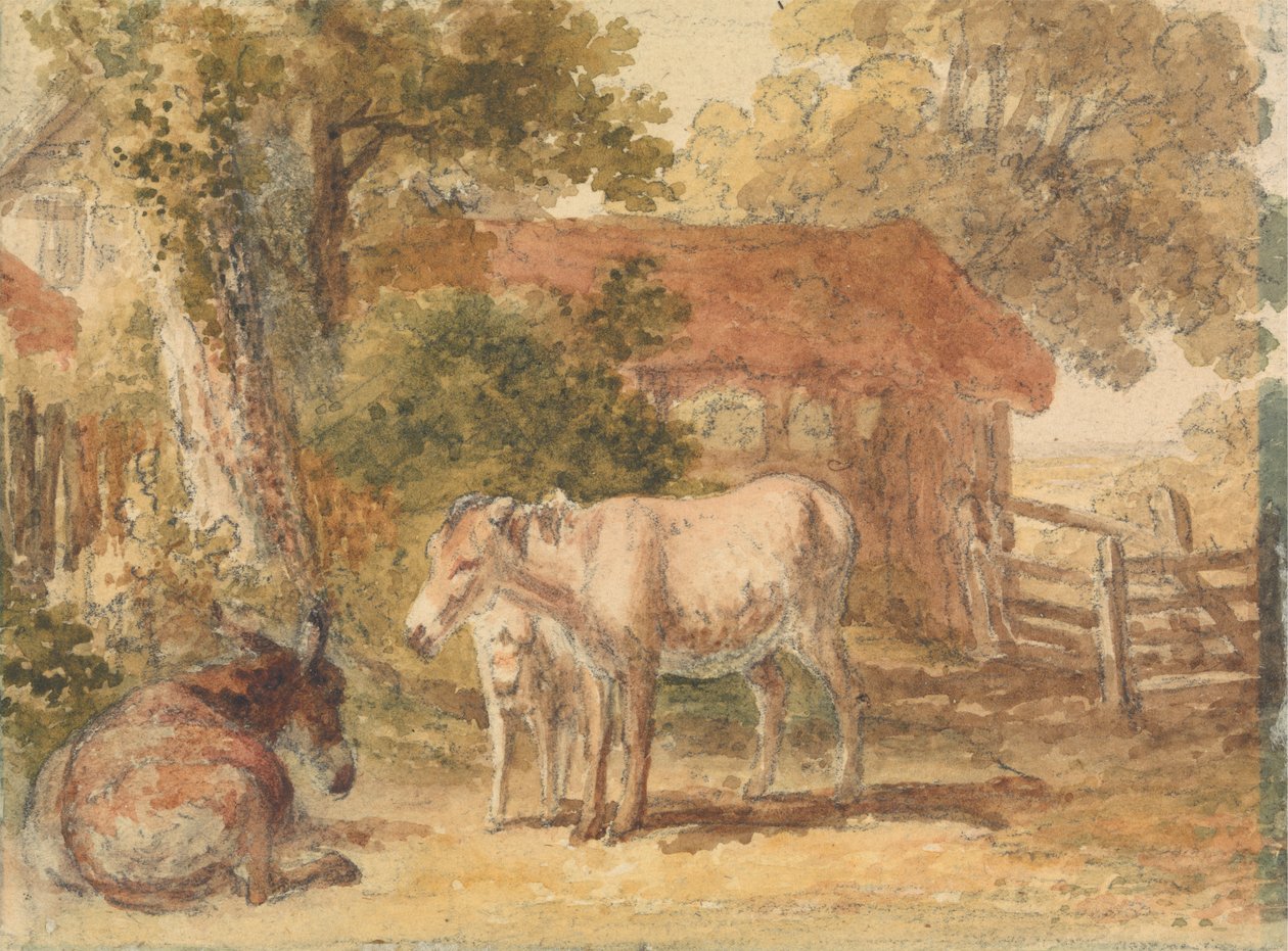 Tre esler av Robert Hills