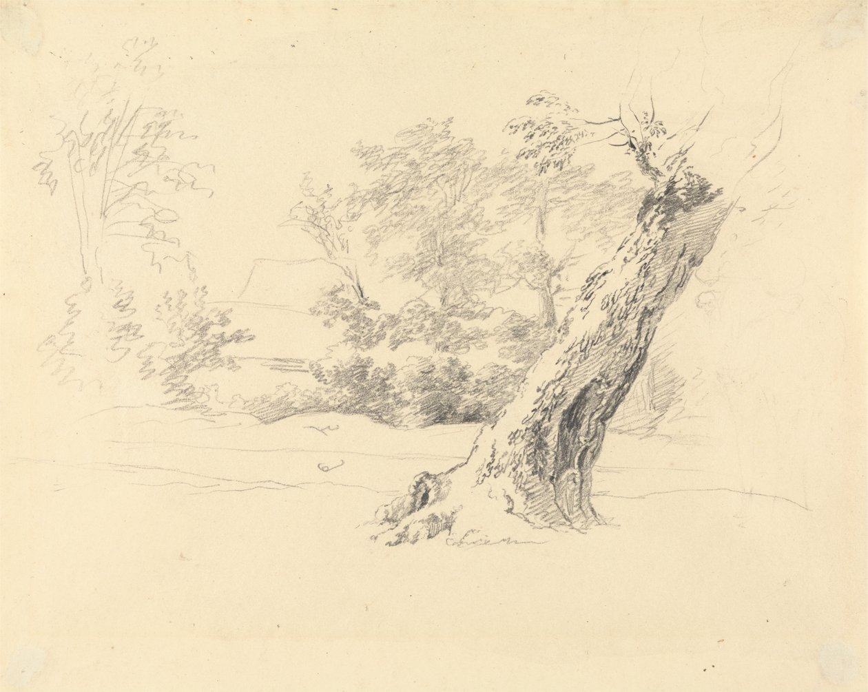 Trestudie av Robert Hills