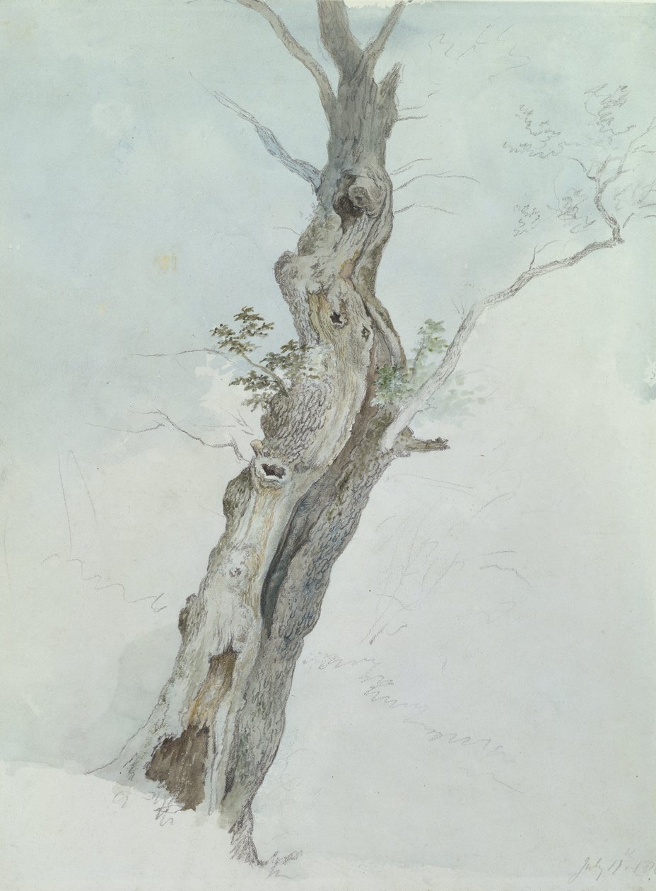 Trestudie, ca. 1800-05 (wc over grafitt på papir) av Robert Hills