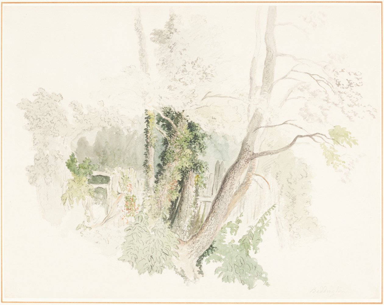 Trær ved Beddington av Robert Hills