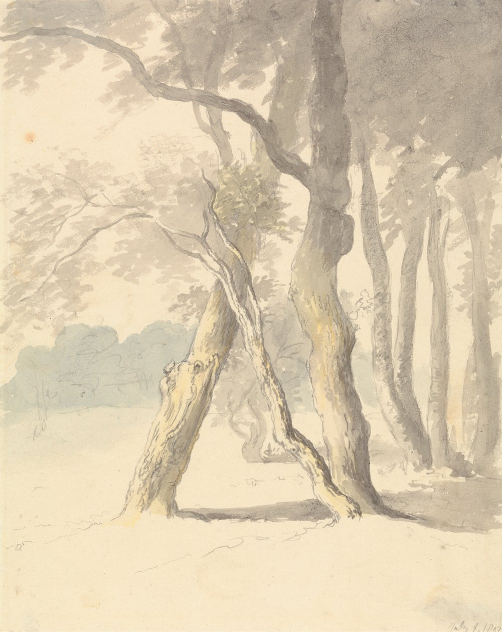 Woodland Study av Robert Hills