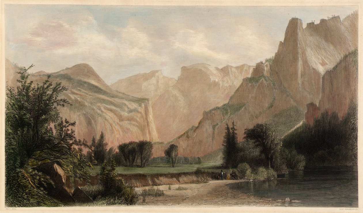  av Robert Hinshelwood