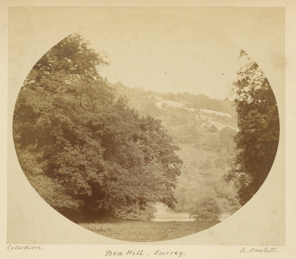Box Hill, Surrey av Robert Howlett