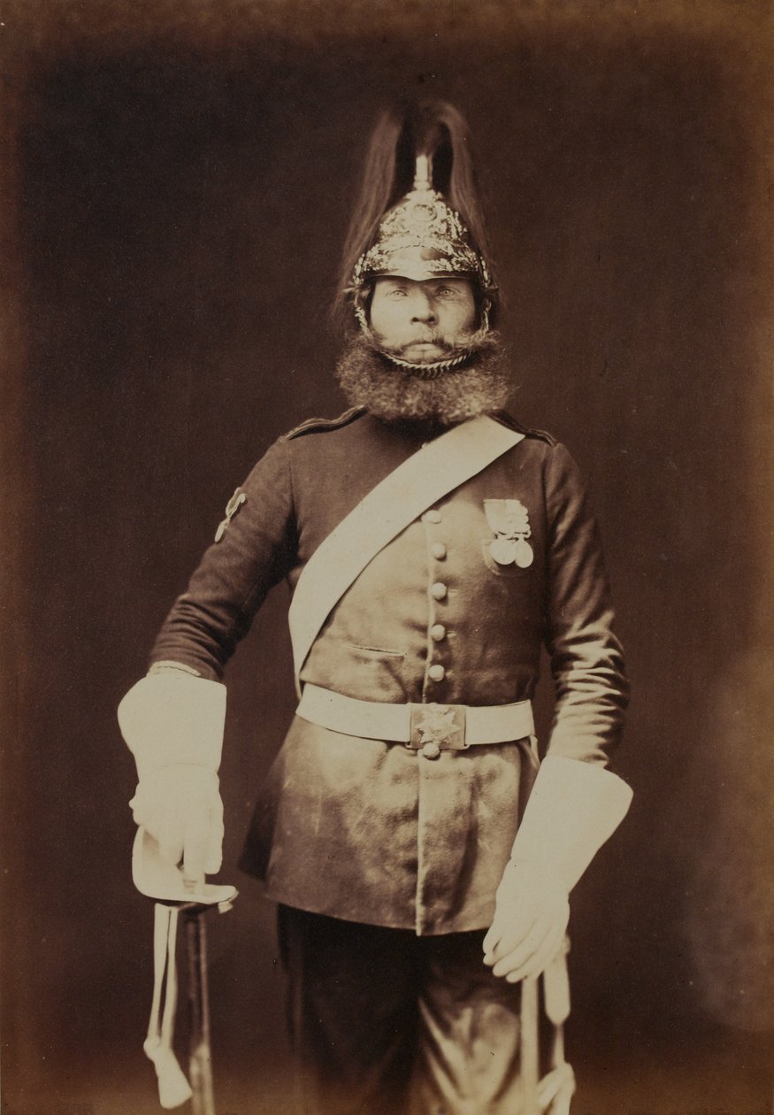 Rough-Rider Macnamara, 5. (Prinsesse Charlotte av Wales) Dragoon Guards av Robert Howlett