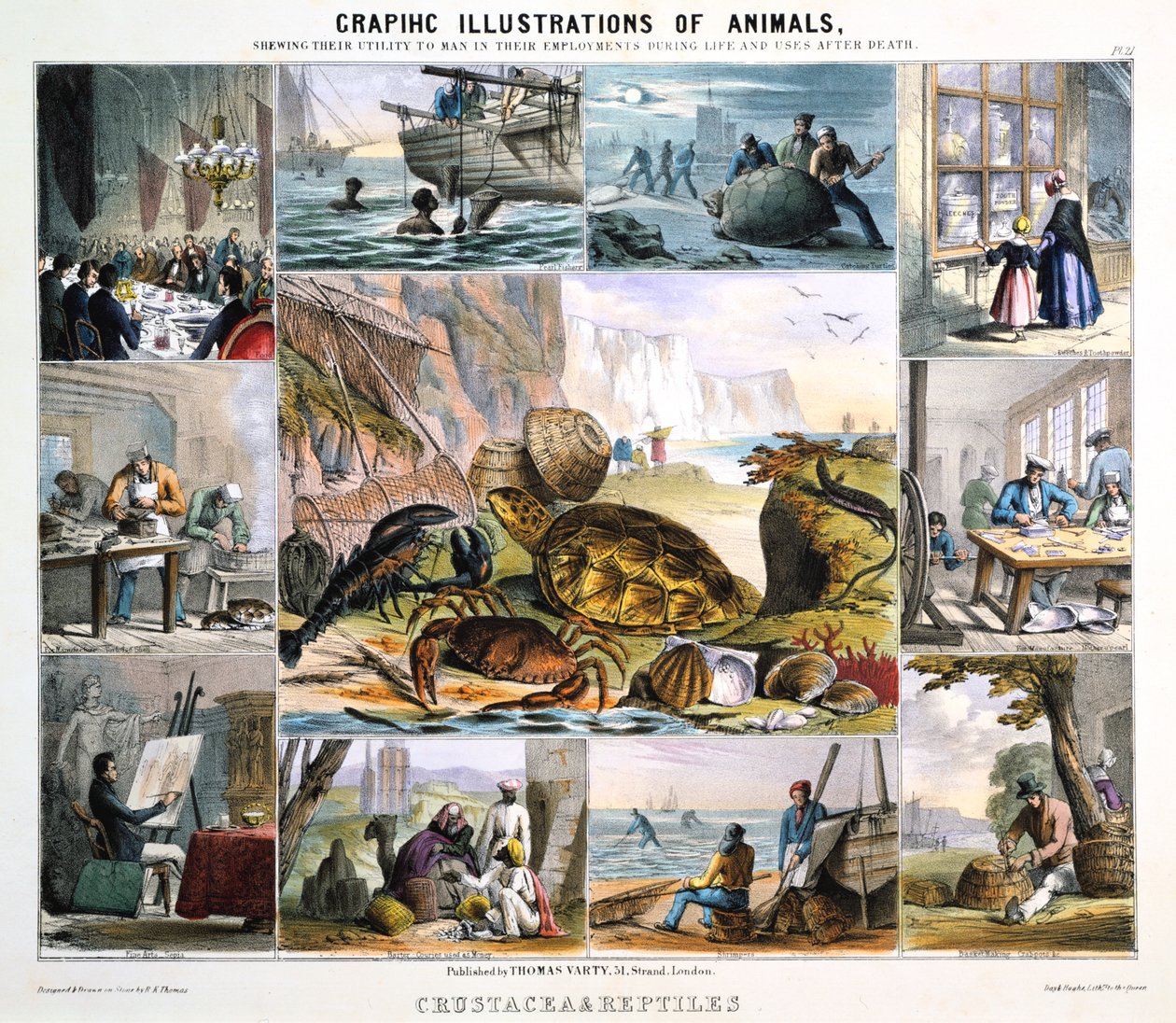 Krepsdyr og reptiler, c1850 av Robert Kent Thomas
