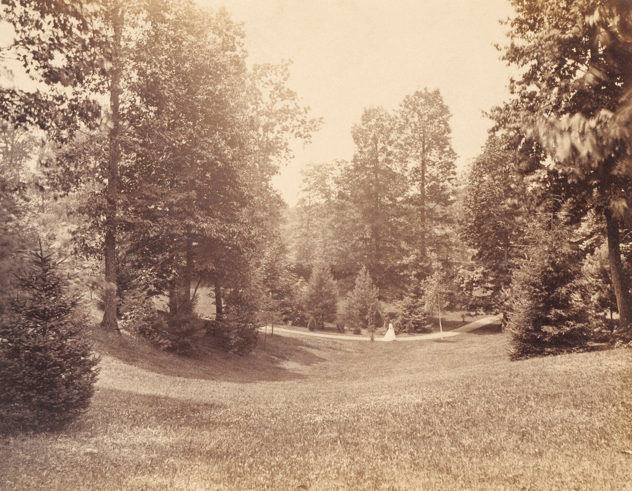  av Robert Newell