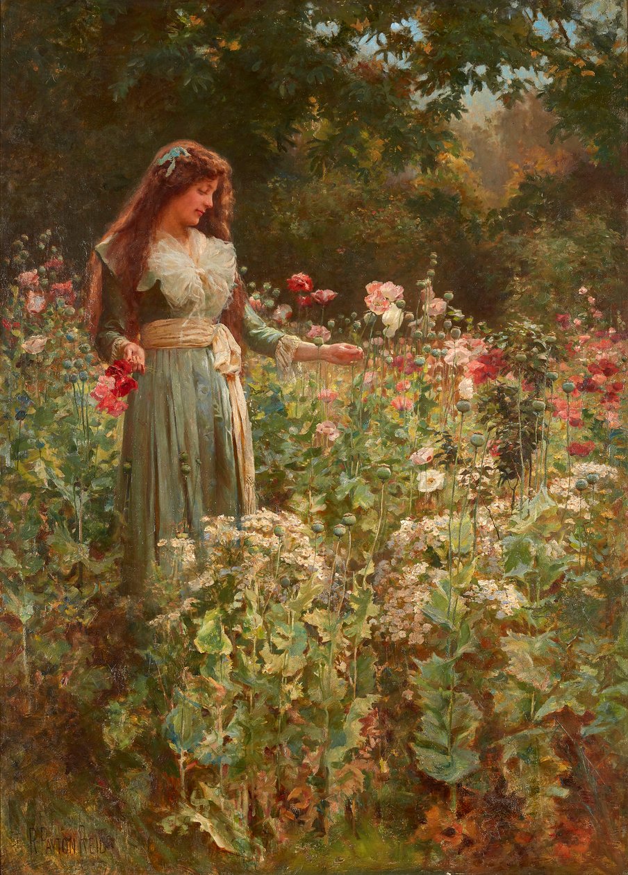 Samle valmuer (olje på lerret) av Robert Payton Reid