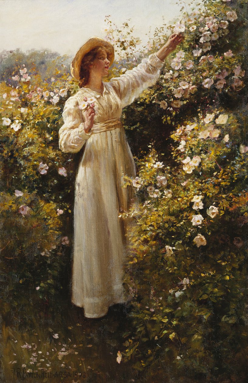 Villrose av Robert Payton Reid