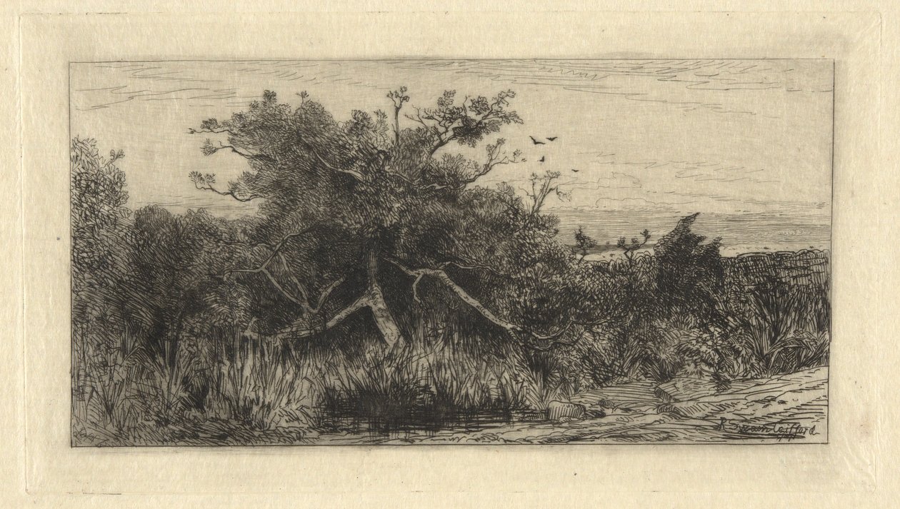 knudrete tre av Robert Swain Gifford