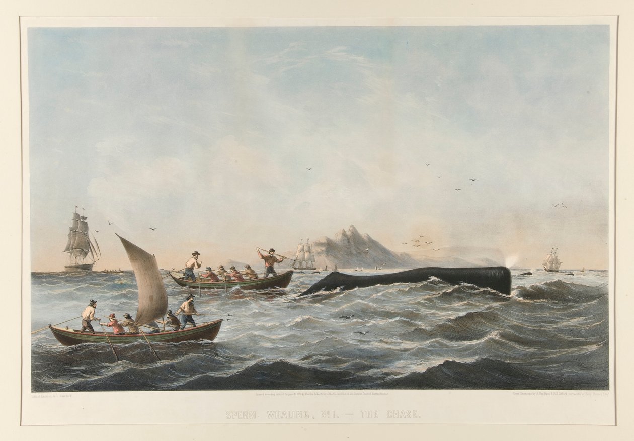 Spermhvalfangst, nr. 1 Saken av Robert Swain Gifford