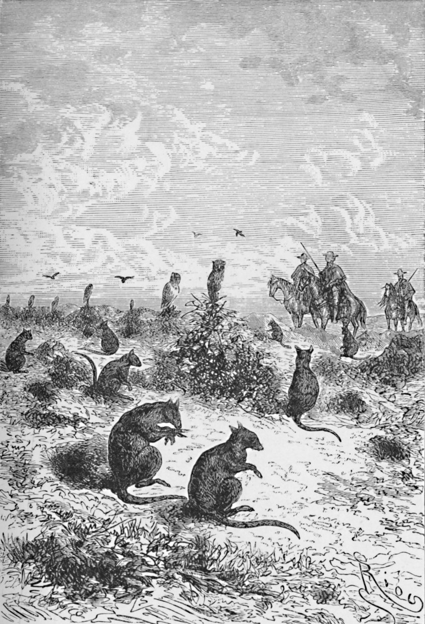 Bizcachas, c1885, 1890 av Robert Taylor Pritchett