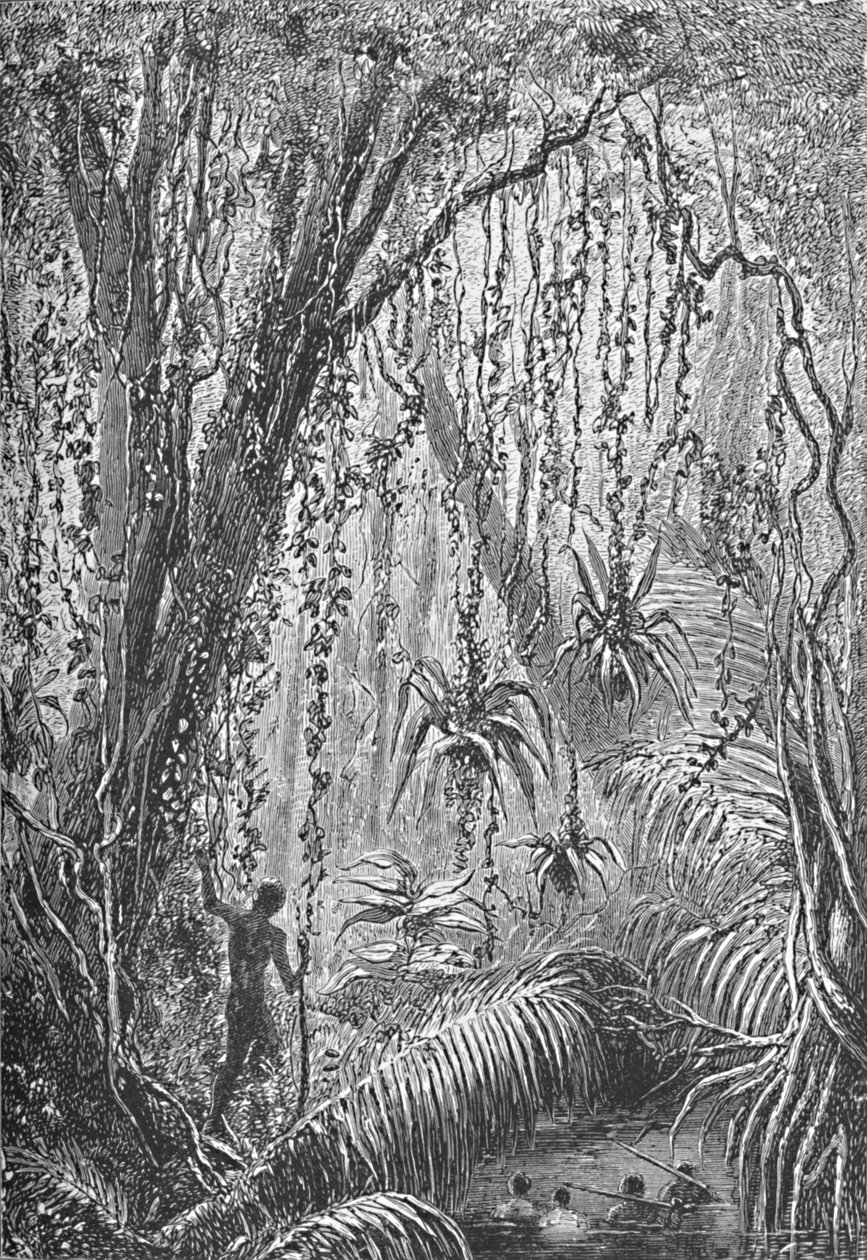 Brasiliansk skog, ca 1885 1890 av Robert Taylor Pritchett