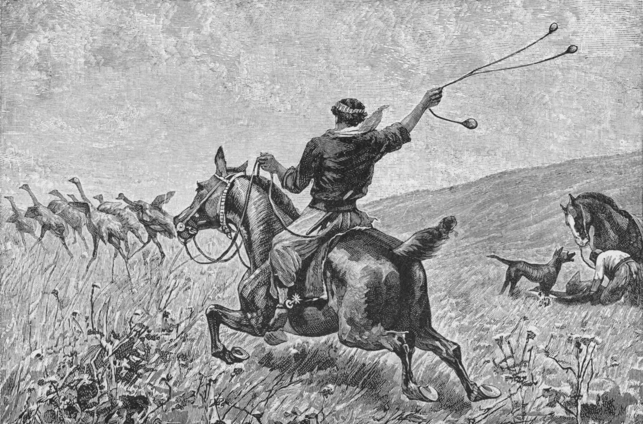 Throwing The Bolas, c1885, 1890 av Robert Taylor Pritchett