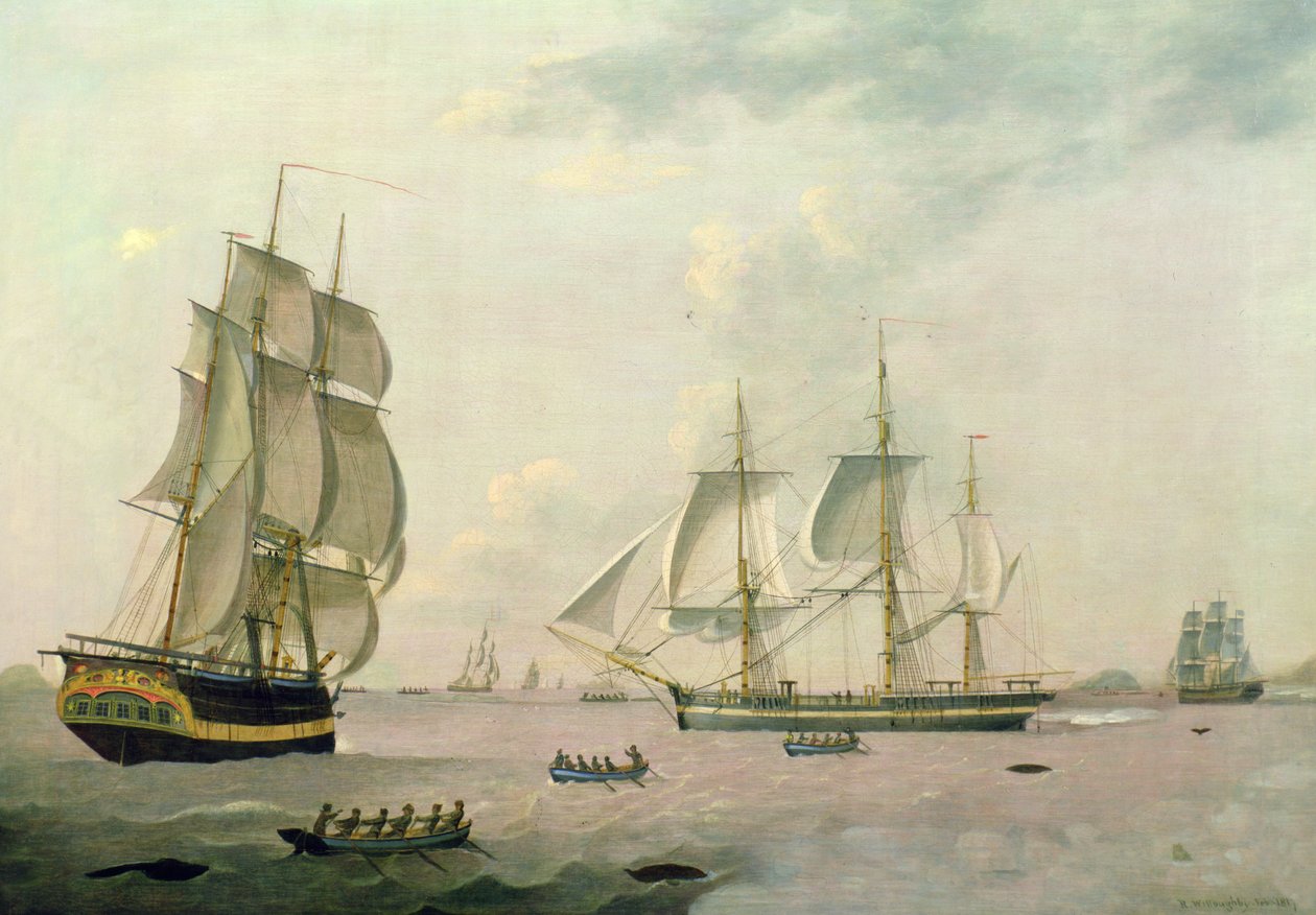 Hvalfangeren "Ocran" av Robert Willoughby
