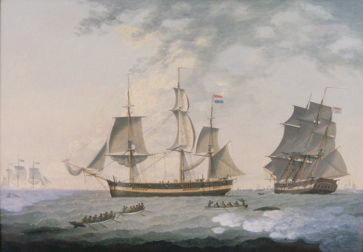  av Robert Willoughby