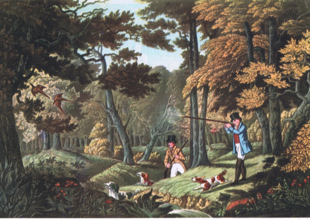 Fasanskyting nær Uxbridge, Nature i Storbritannia utgitt av Collins, 1946 av Robert the Elder Havell