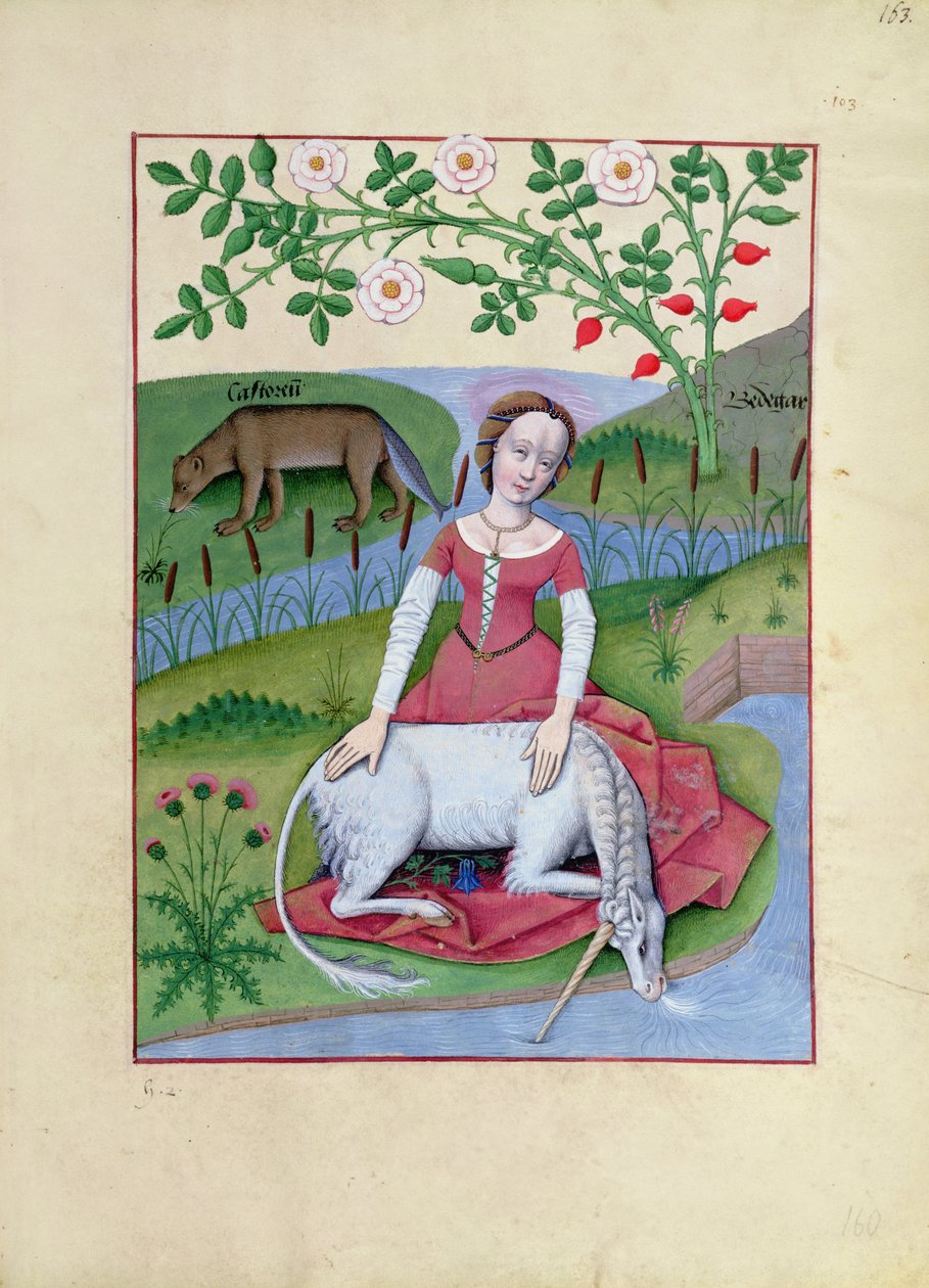 Fru Fr. Fv VI fol.163r Illustrasjon fra boken om enkle medisiner av Mattheaus Platearius av Robinet Testard