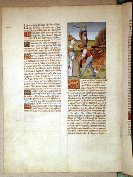 Fru Fr. Fv VI #1 fol.98v Mining gull, illustrasjon fra The Book of Simple Medicines av Matthaeus Platearius (d.c.1161) ca. 1470 av Robinet Testard