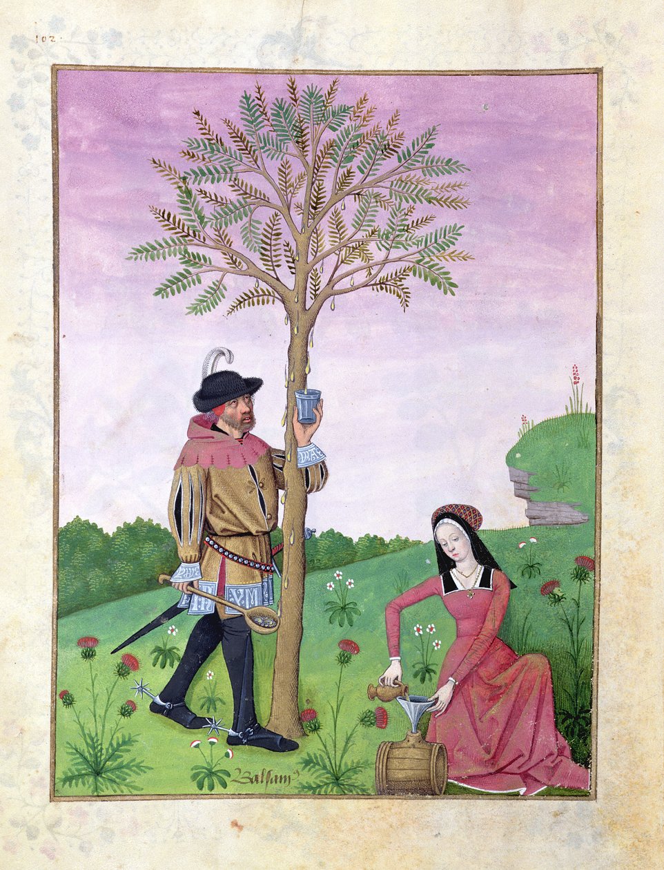 Lavendel, Hellebore og en slektning av Agurk-familien, Illustrasjon fra Book of Simple Medicines av Matthaeus Platearius 131r av Robinet Testard