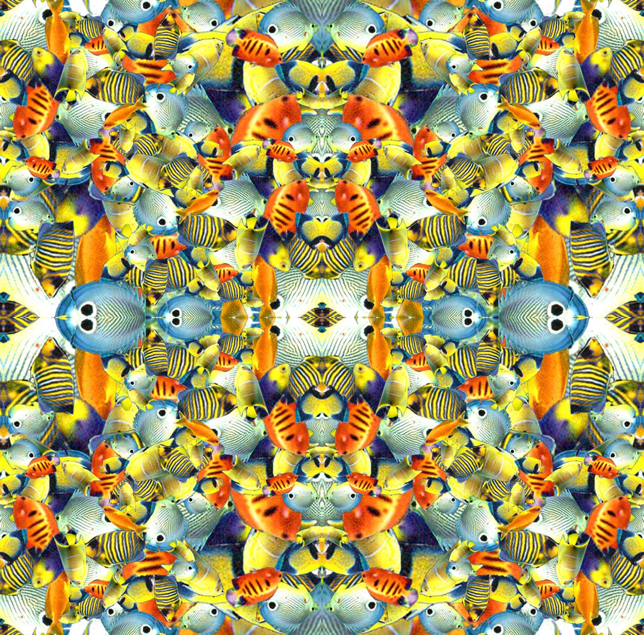 Kaleidoscope Fish Tile av Robyn Parker