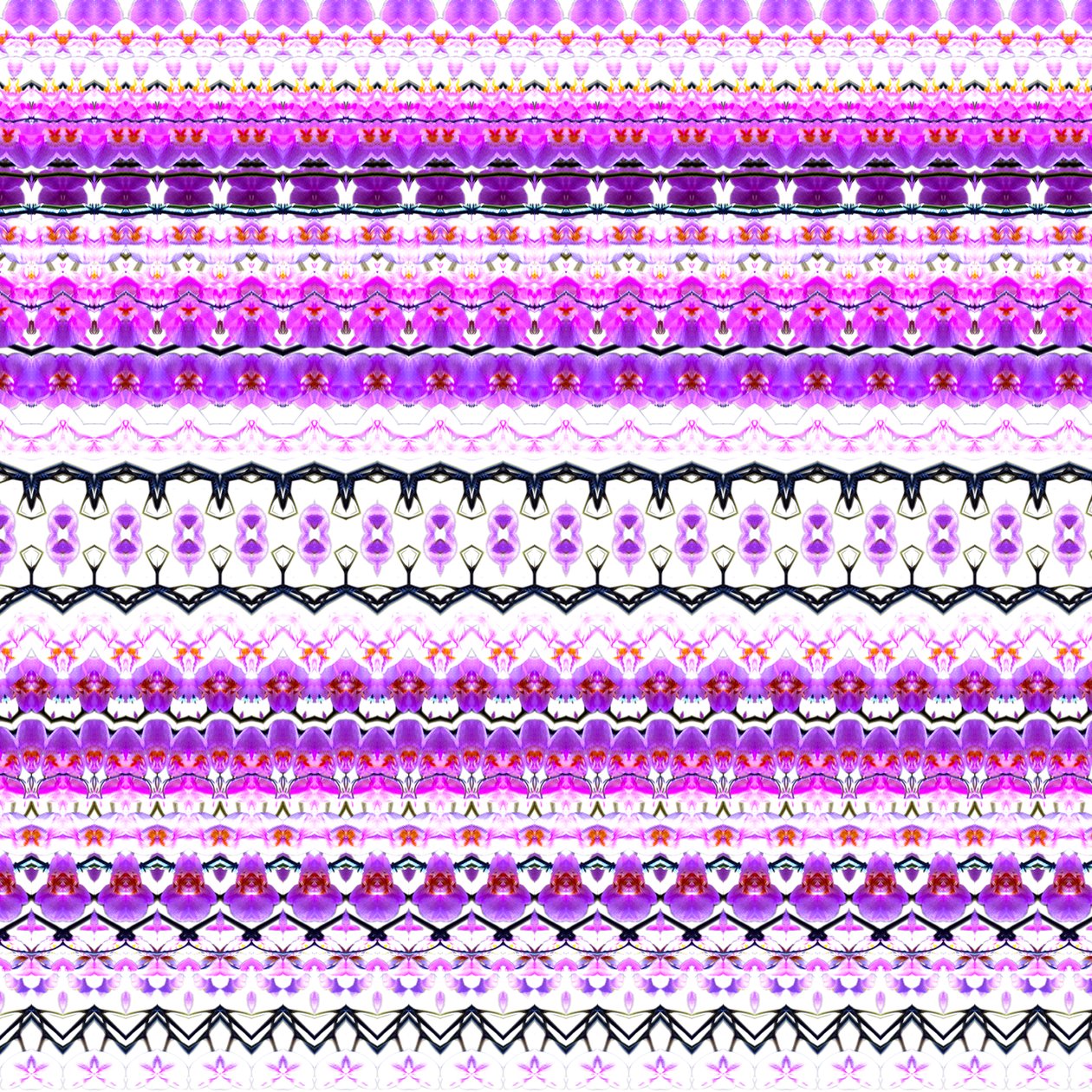 Orchid Stripe av Robyn Parker