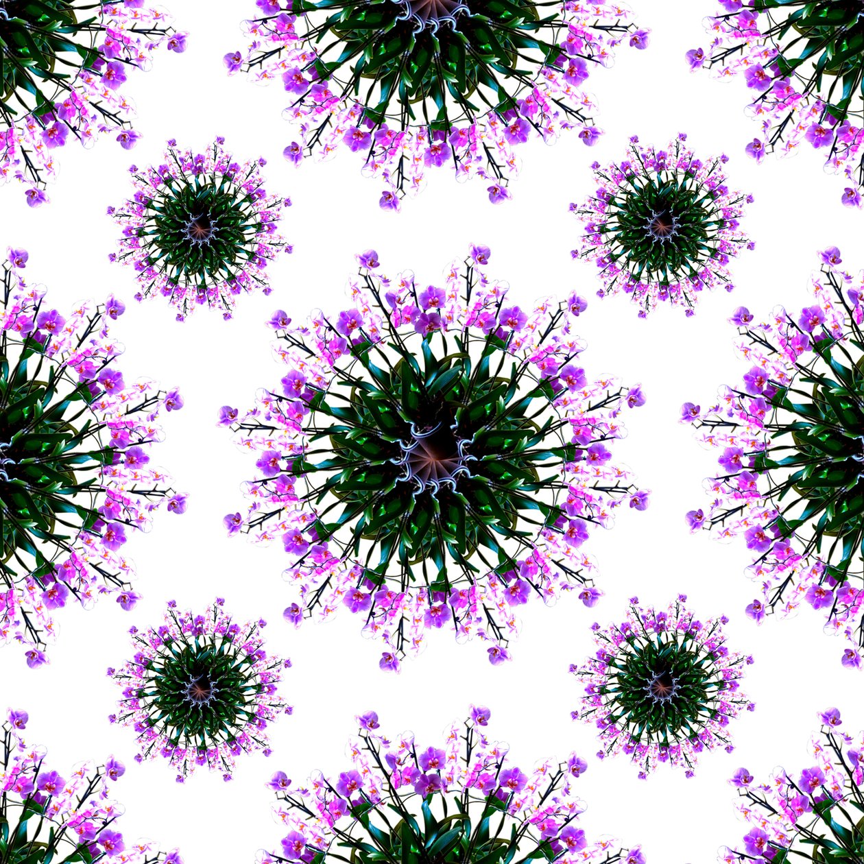 Orchid World av Robyn Parker