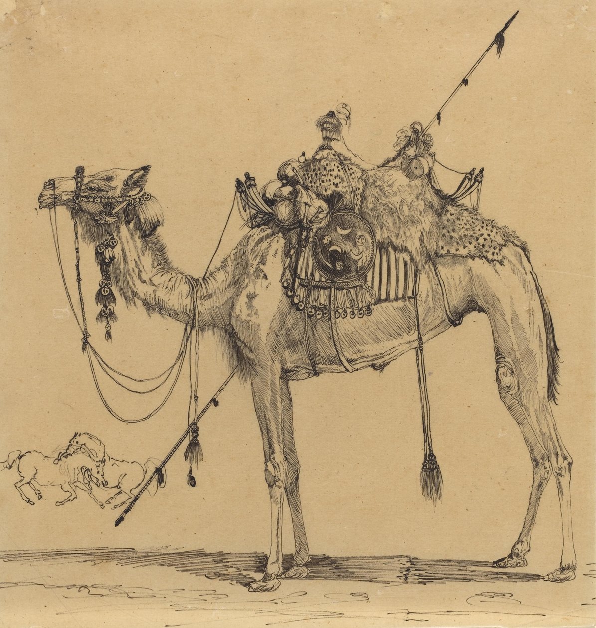The Camel (penn og blekk) av Rodolphe Bresdin
