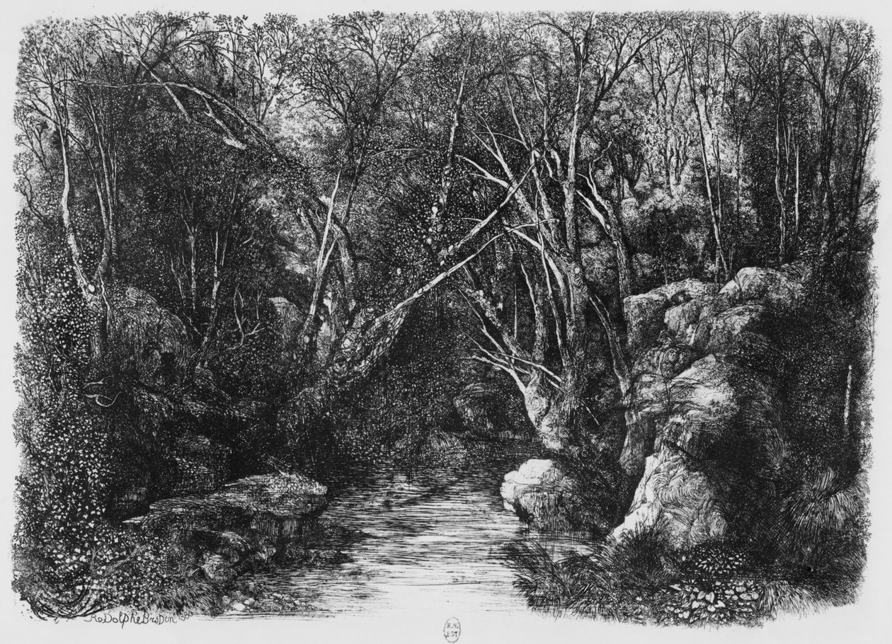 Strømmen gjennom trærne, 1880 av Rodolphe Bresdin