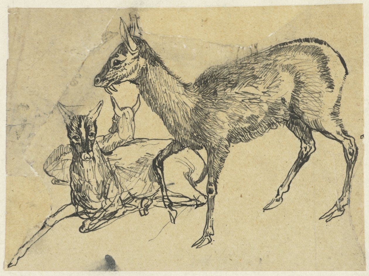 Tre rådyr av Rodolphe Bresdin