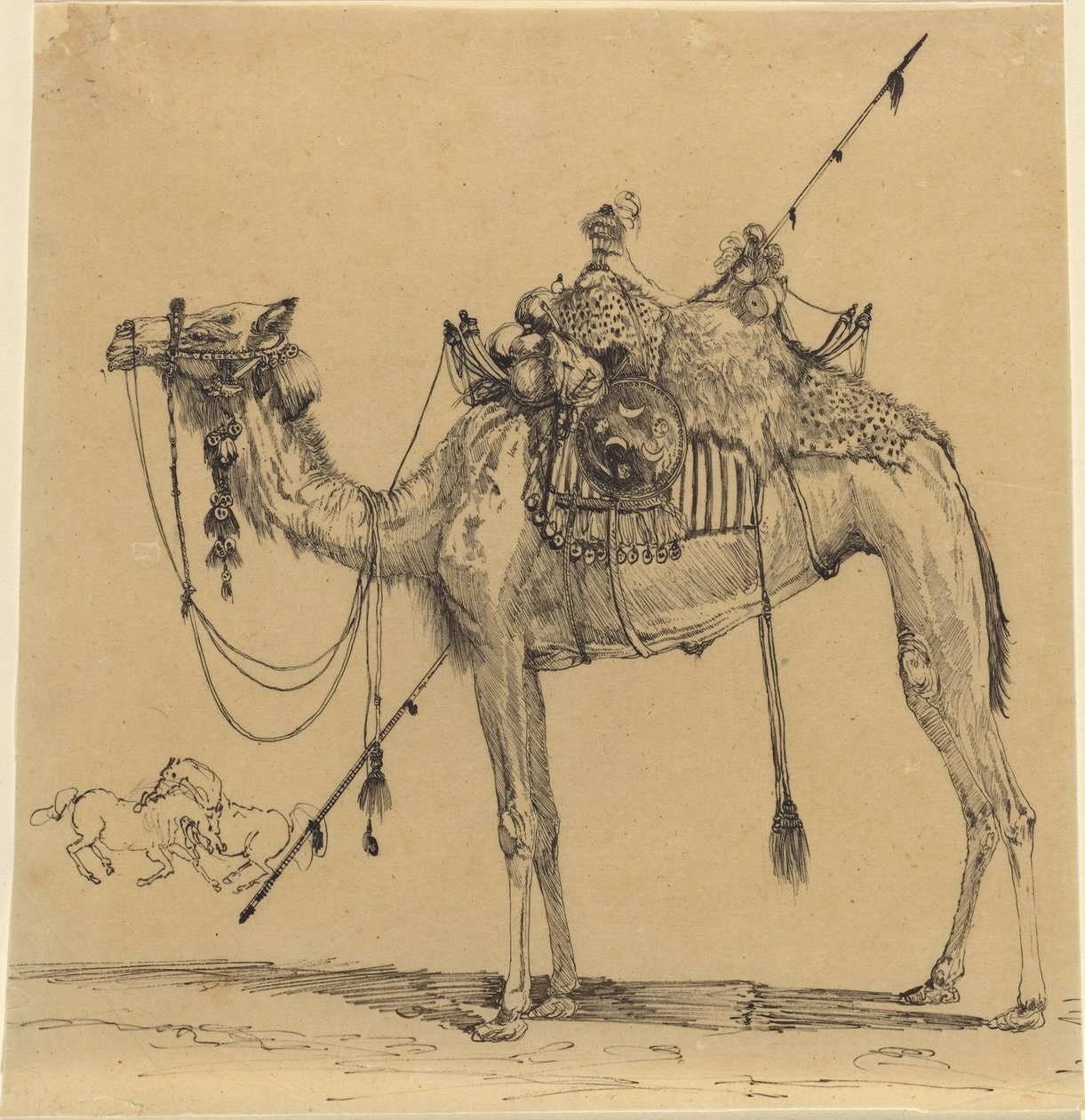 Kamelen av Rodolphe Bresdin