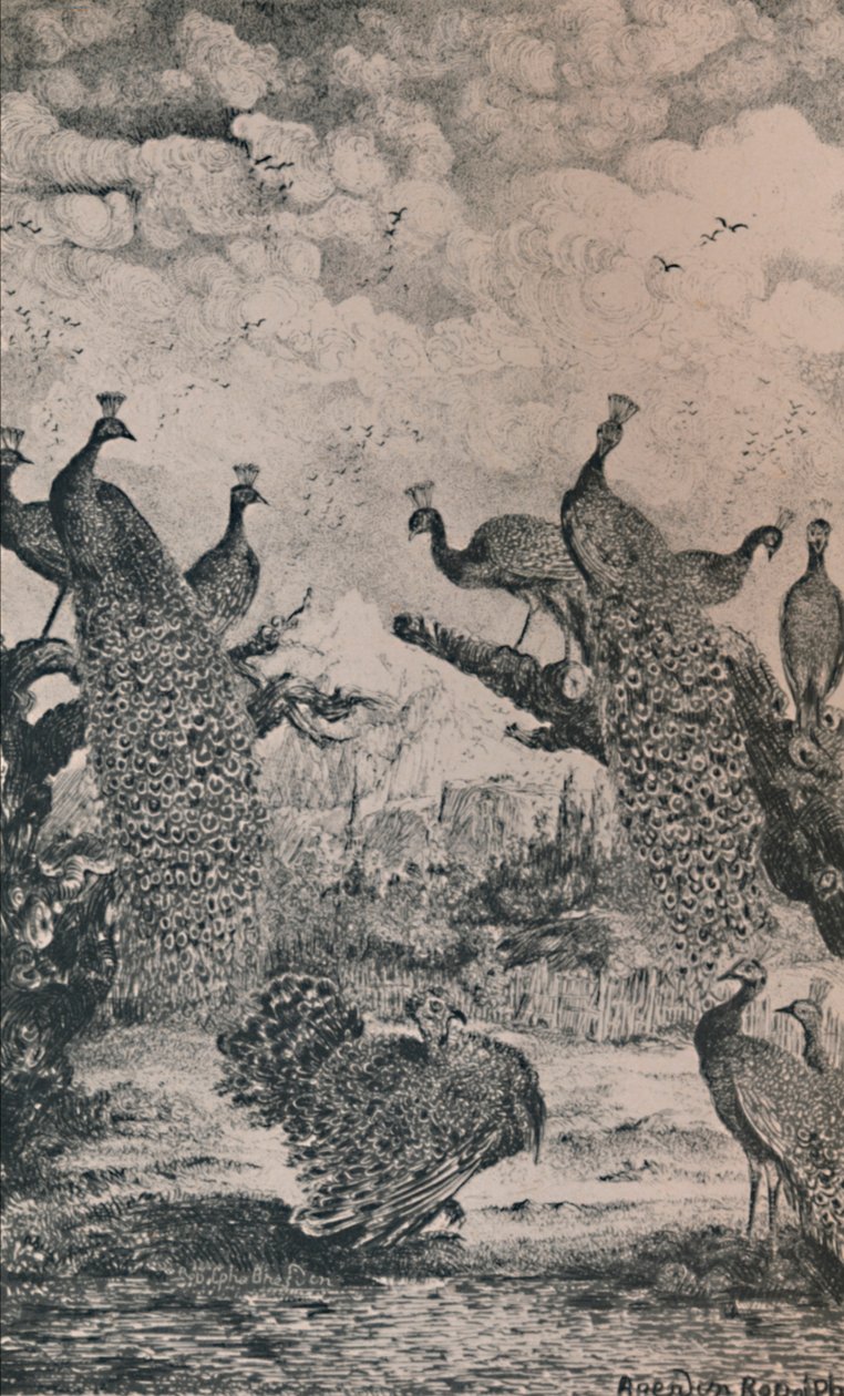 Påfuglene, 1869, 1946 av Rodolphe Bresdin