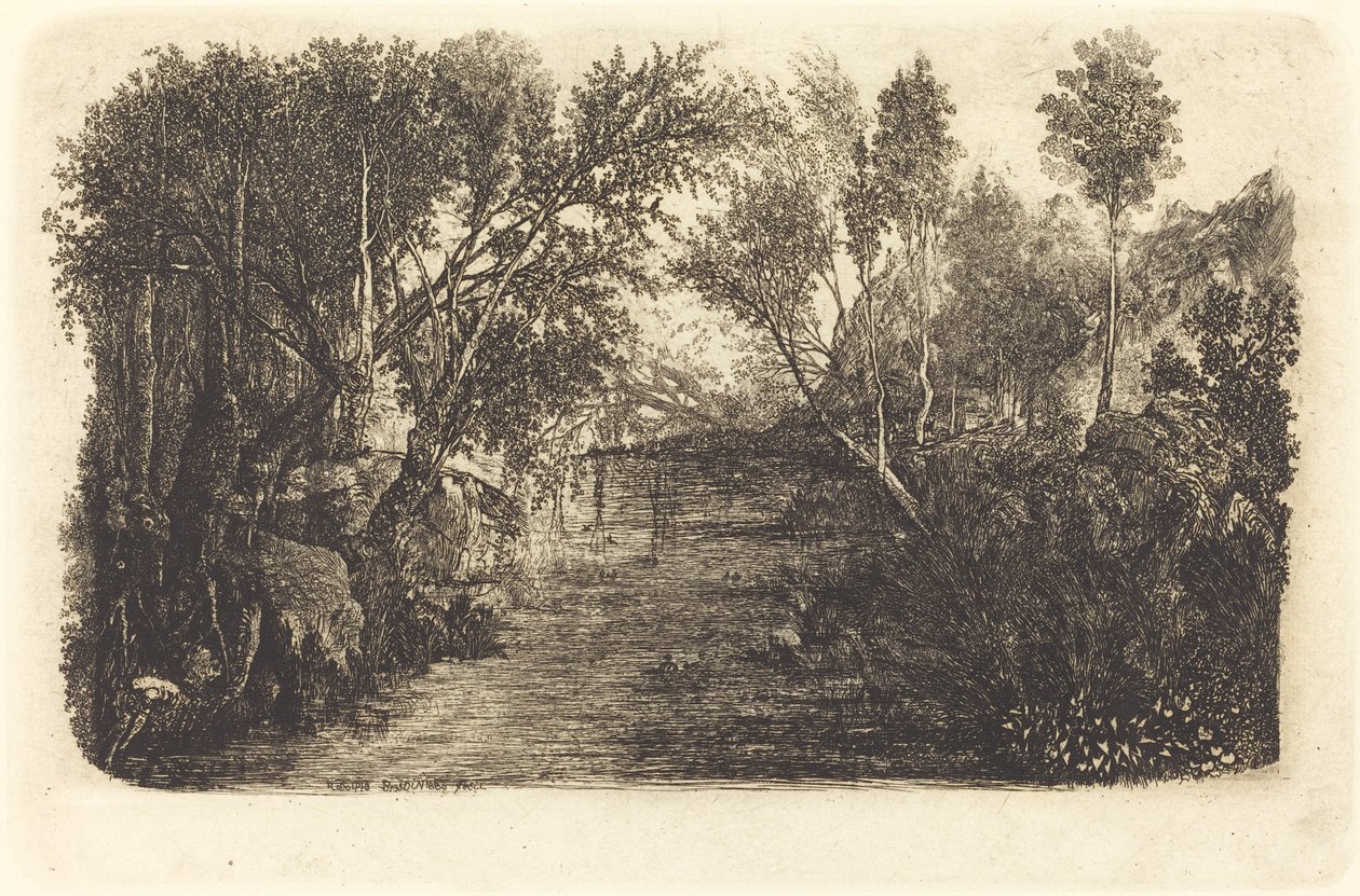 Vannets kurs av Rodolphe Bresdin