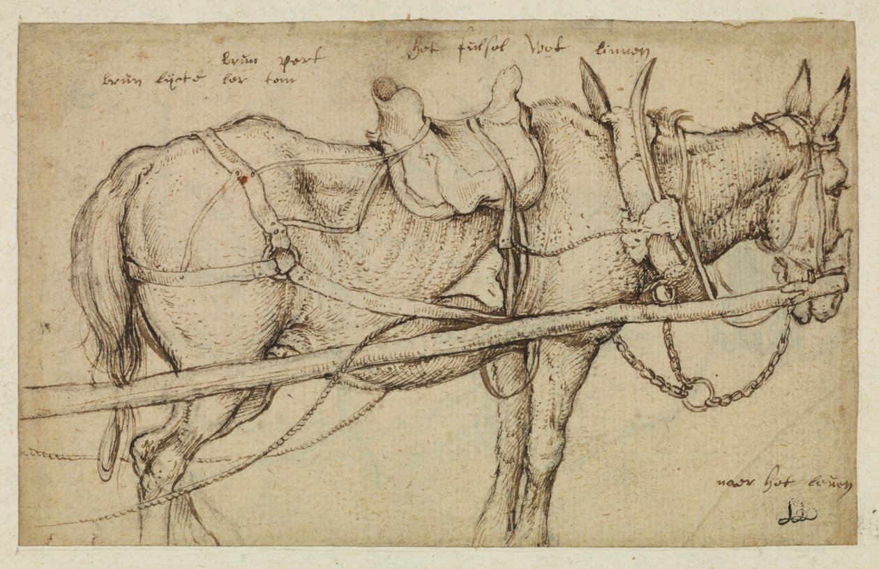 Muldyr i sele av Roelandt Jacobsz. Savery