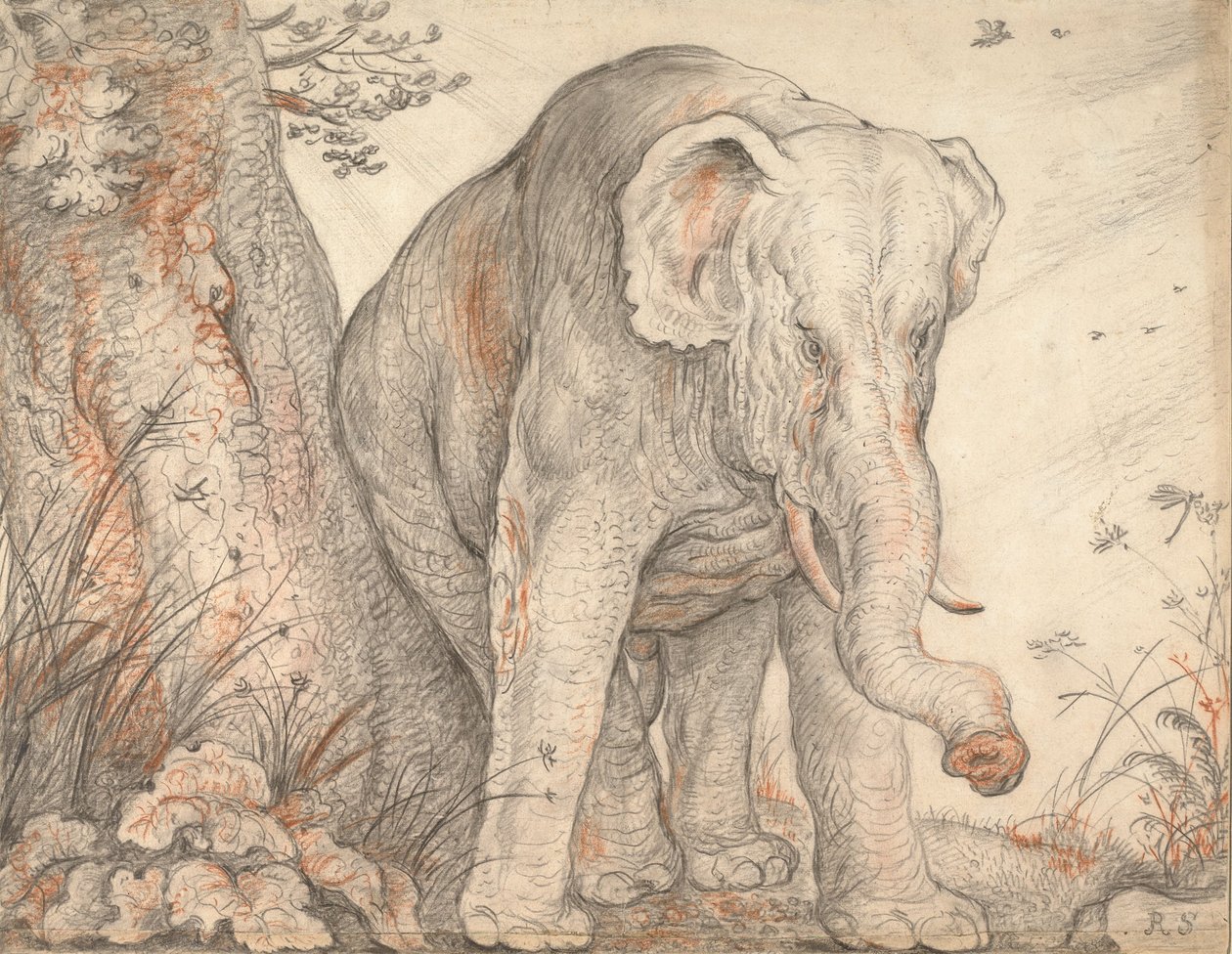 En elefant som gnir seg mot et tre, ca. 1608-1612 av Roelant Saverij
