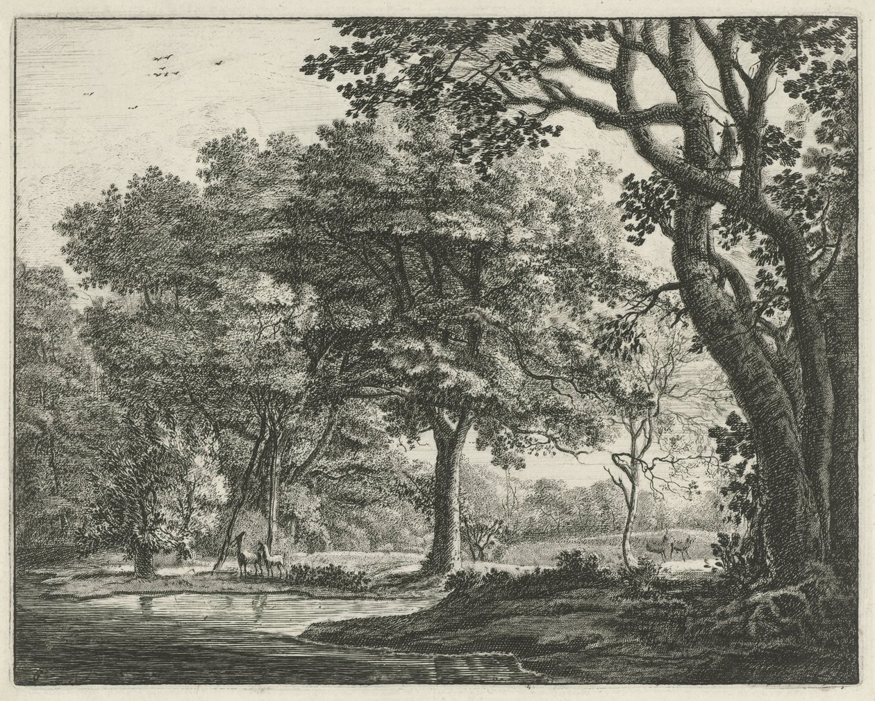 Hjort i Haagskogen Faces in the Haagse Bos (serietittel) av Roelant Roghman