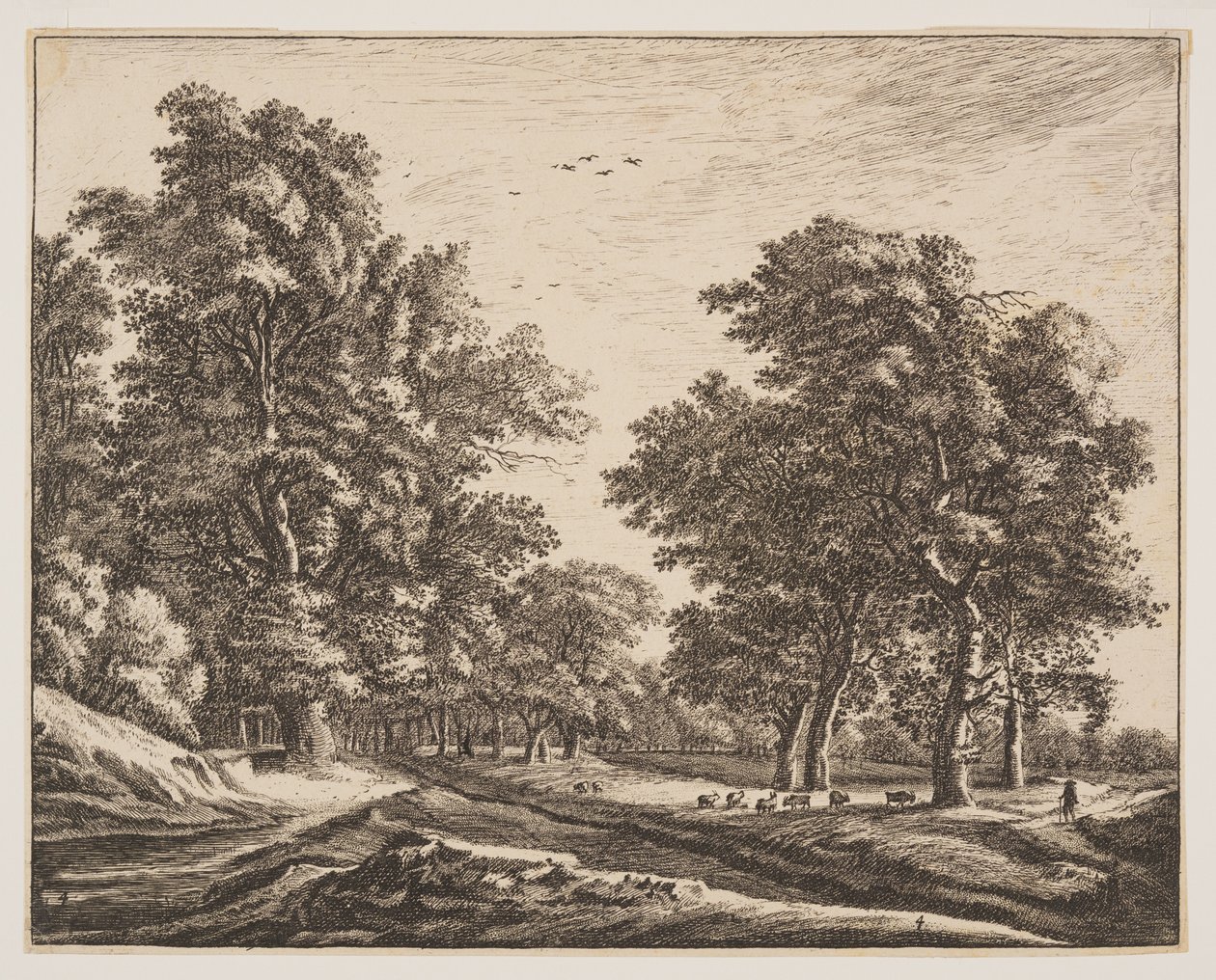  av Roelant Roghman