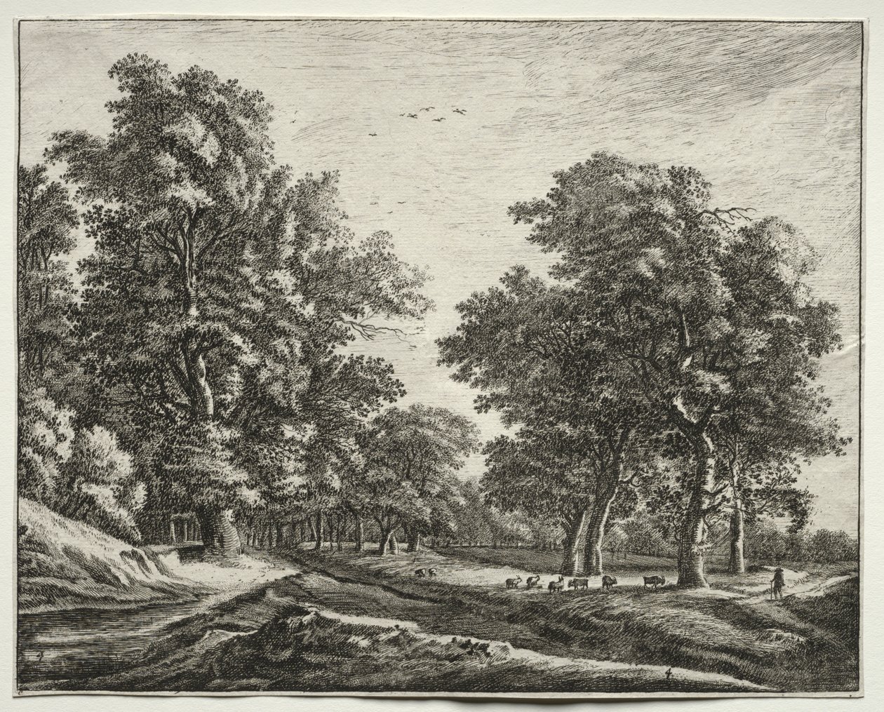 Seks utsikter i skogen i Haag: Plate 4, Geiter under trærne av Roelant Roghman