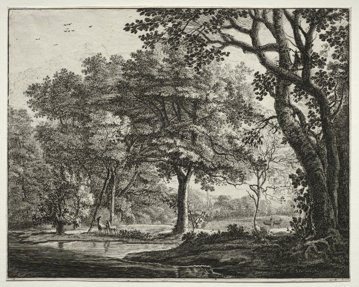 Seks utsikter i Haagskogen: Plate 6, Two Deer av Roelant Roghman