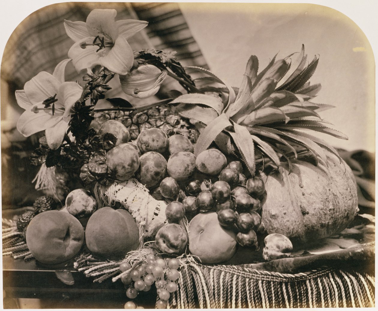 Stilleben med frukt, 1860 (sepia-bilde) av Roger Fenton