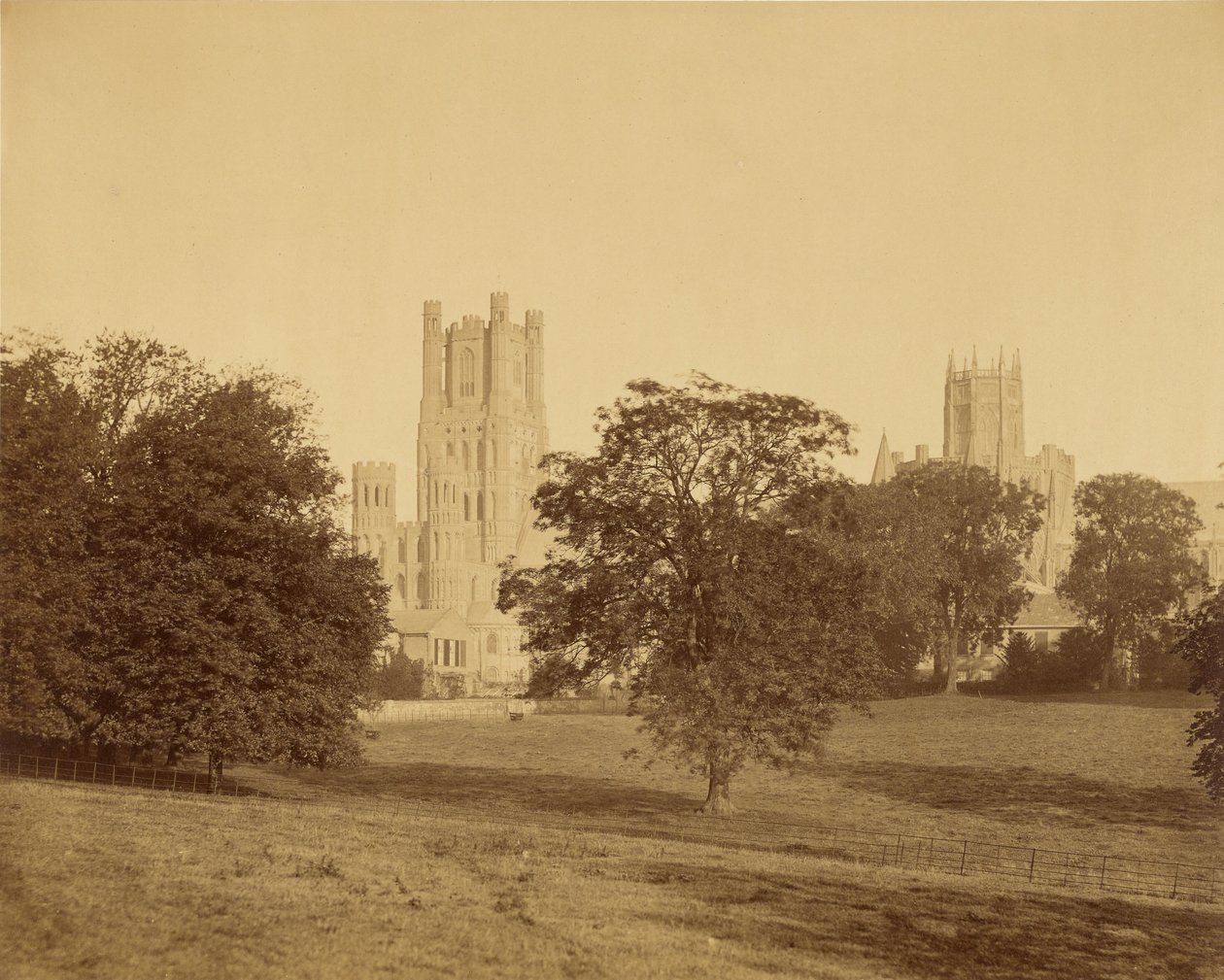 Ely-katedralen sett fra parken av Roger Fenton