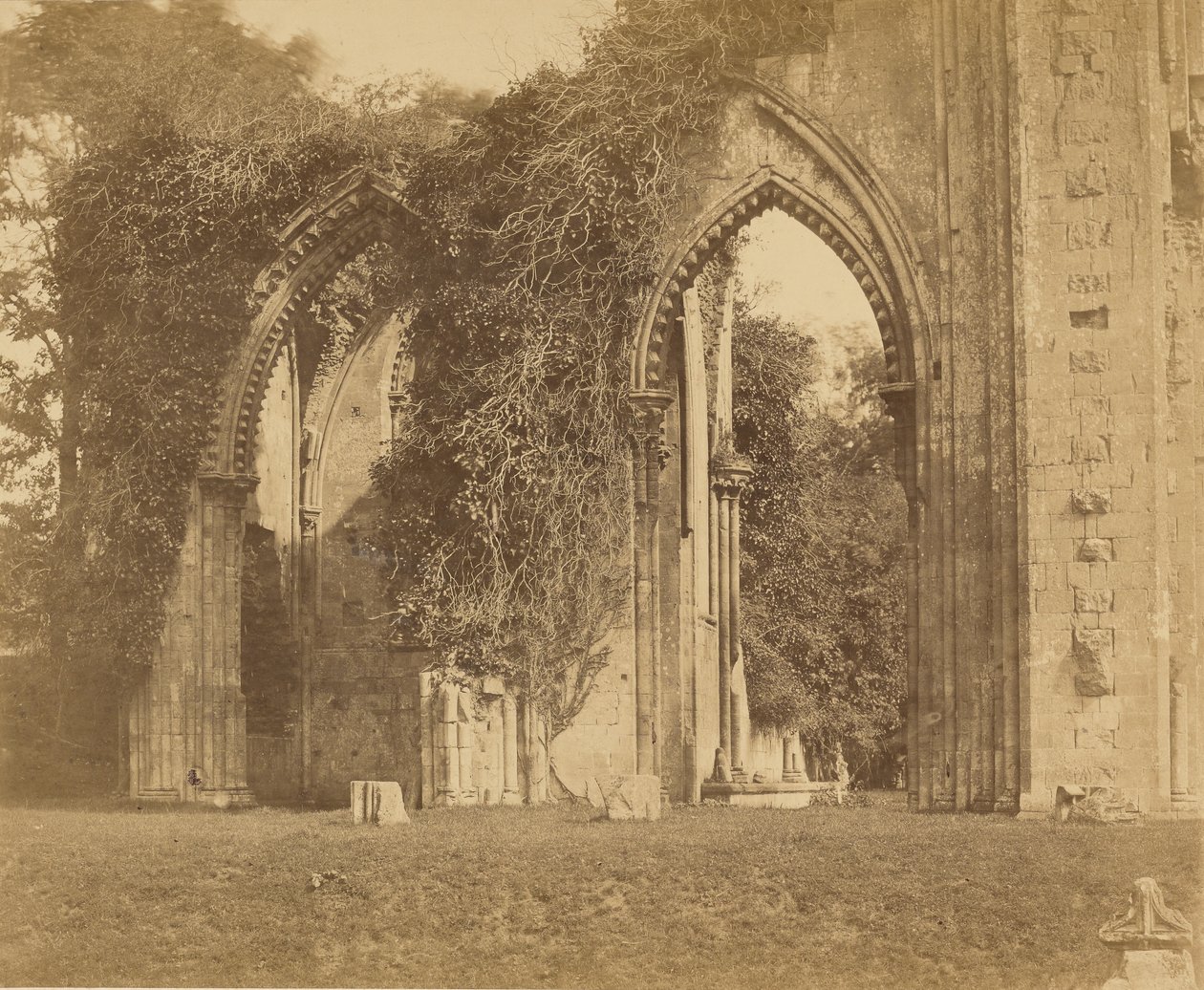 Glastonbury Abbey, buer i det nordlige sideskipet av Roger Fenton