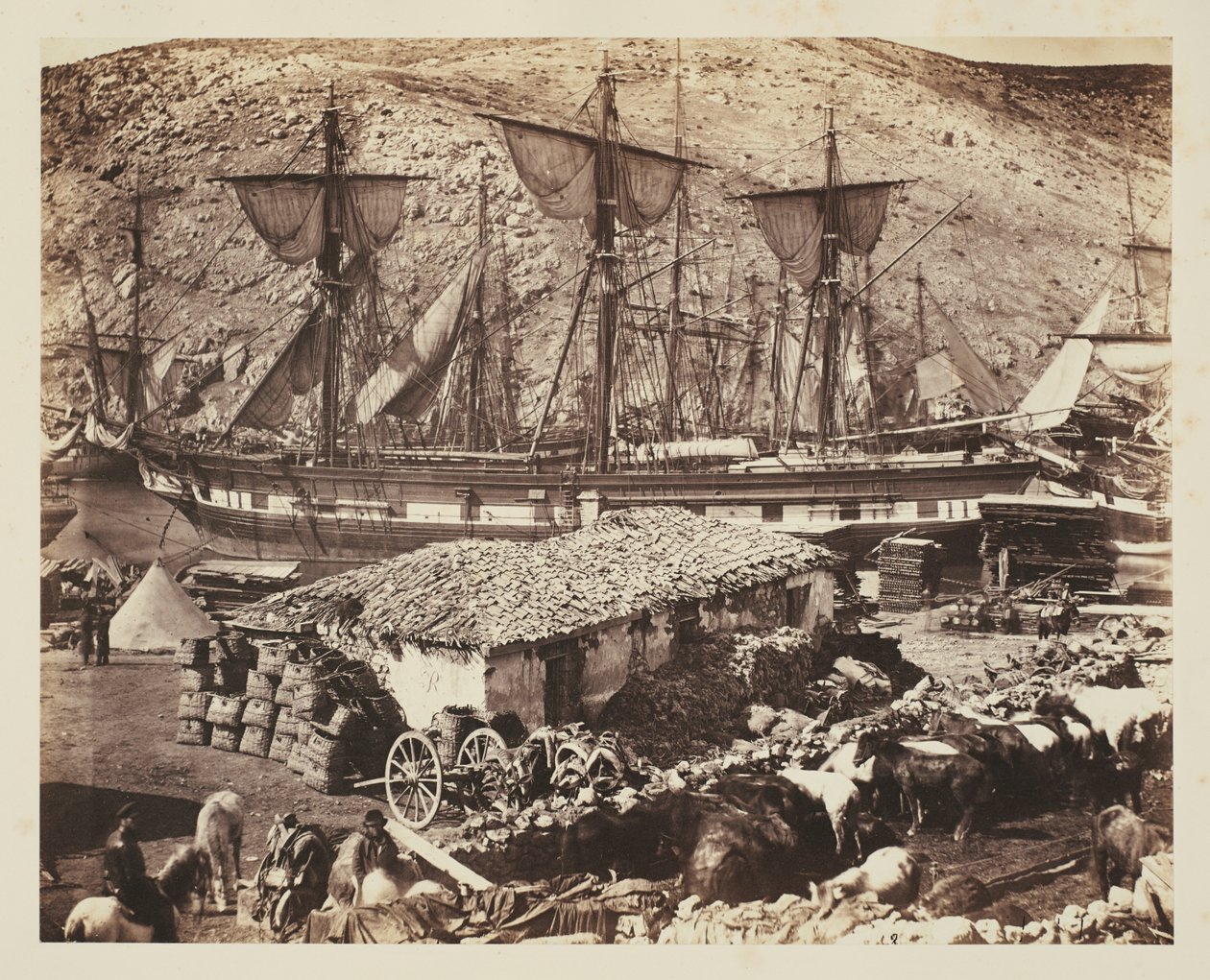 Havnen i Balaklava, kvegkaien av Roger Fenton
