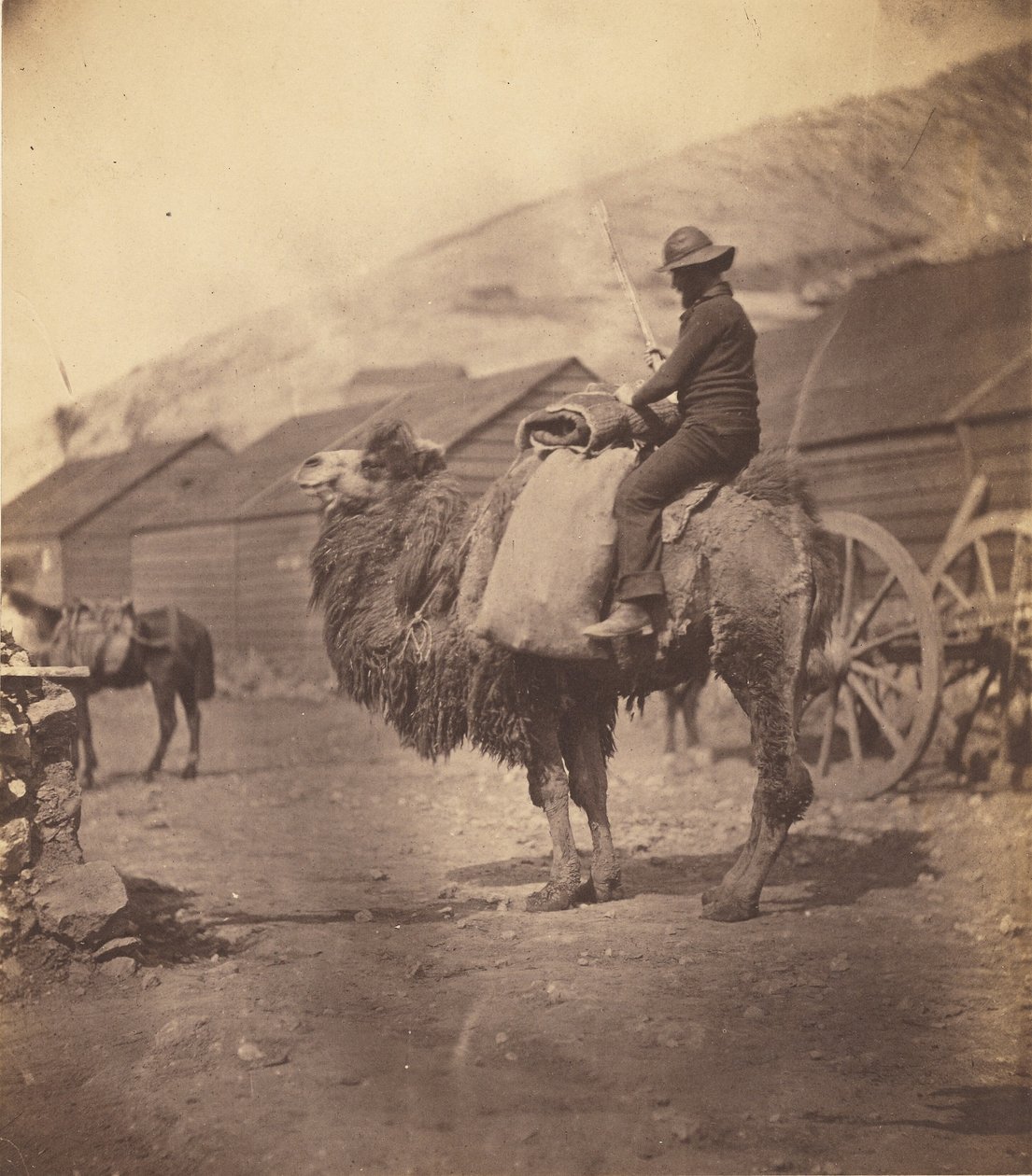 [Mann ridende på en kamel] av Roger Fenton