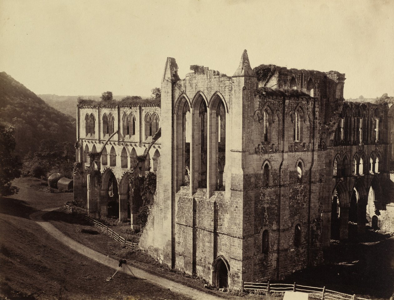 Rievaulx Abbey, North Transept, 1854. av Roger Fenton