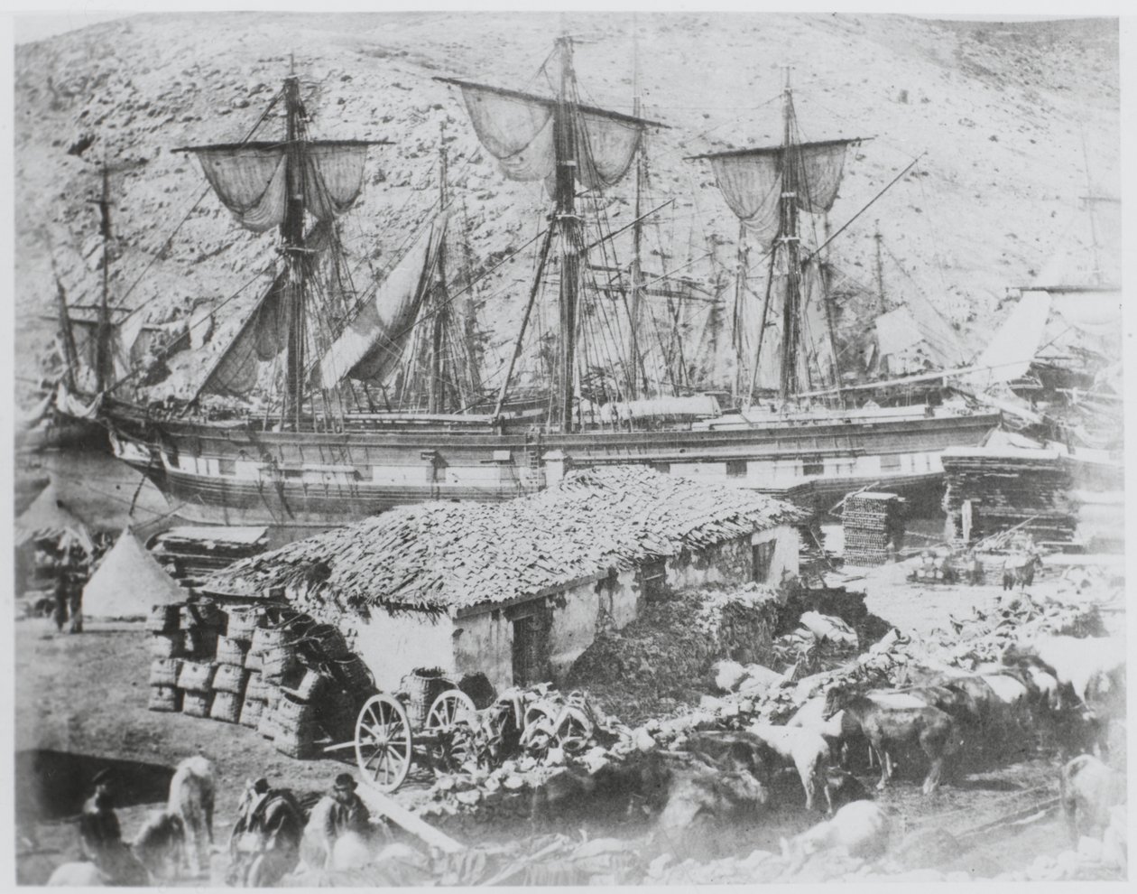 Storfebryggen i havnen i Balaklava av Roger Fenton