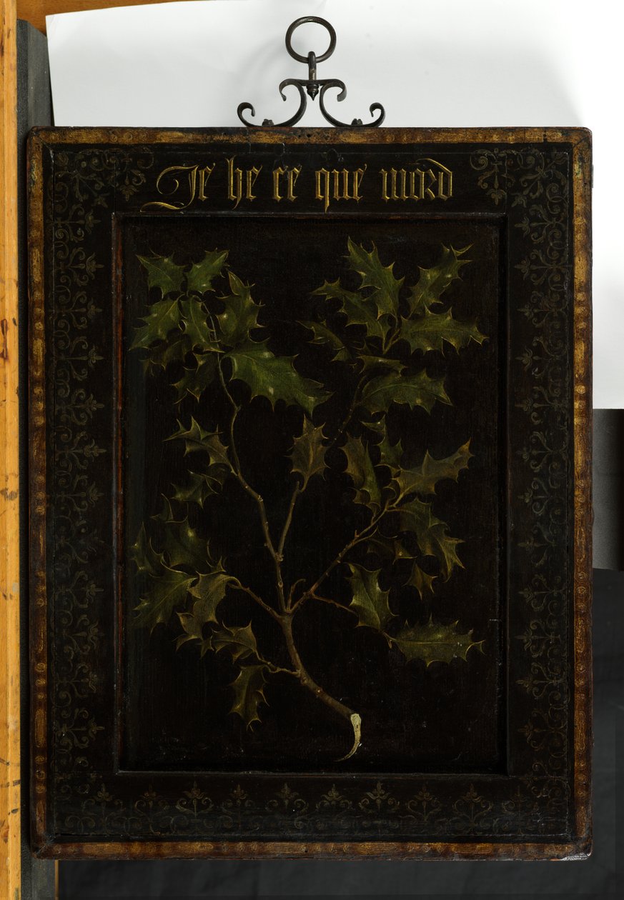 Gren av Holly, før 1437 (verso av 65799) av Rogier van der Weyden