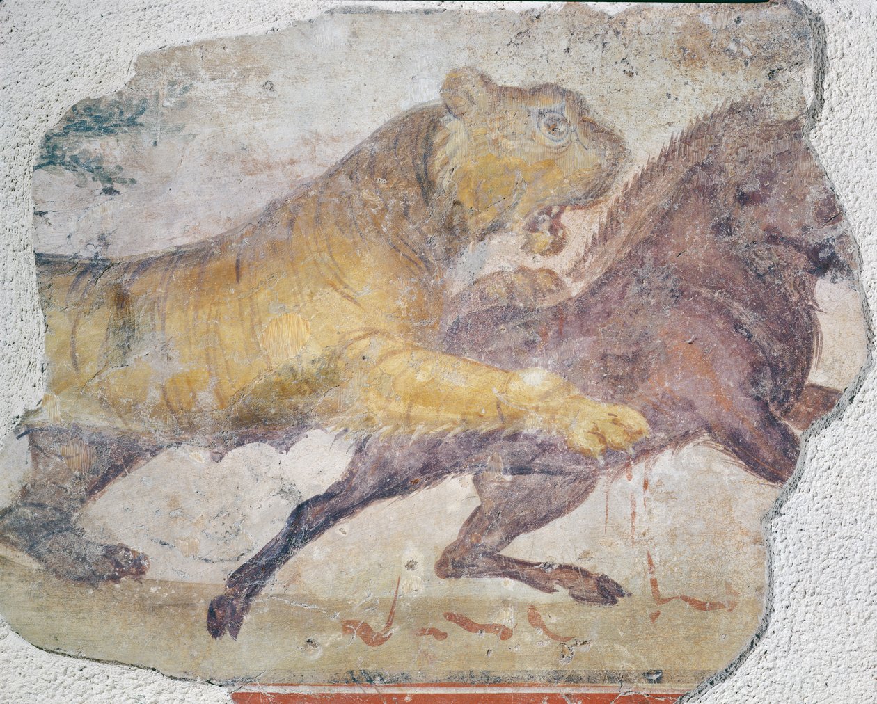 En tiger som angriper et villsvin, fra Merida amfiteater av Roman
