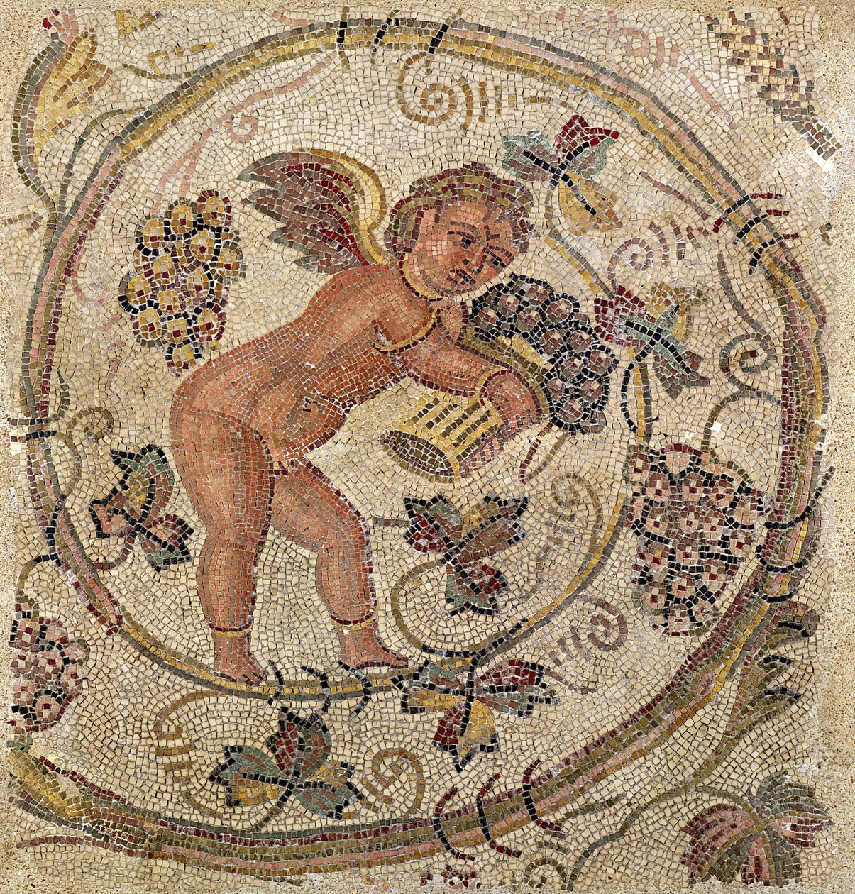 En amor som plukker druer, fragment av fortau fra Kartago, Tunisia (mosaikk) av Roman