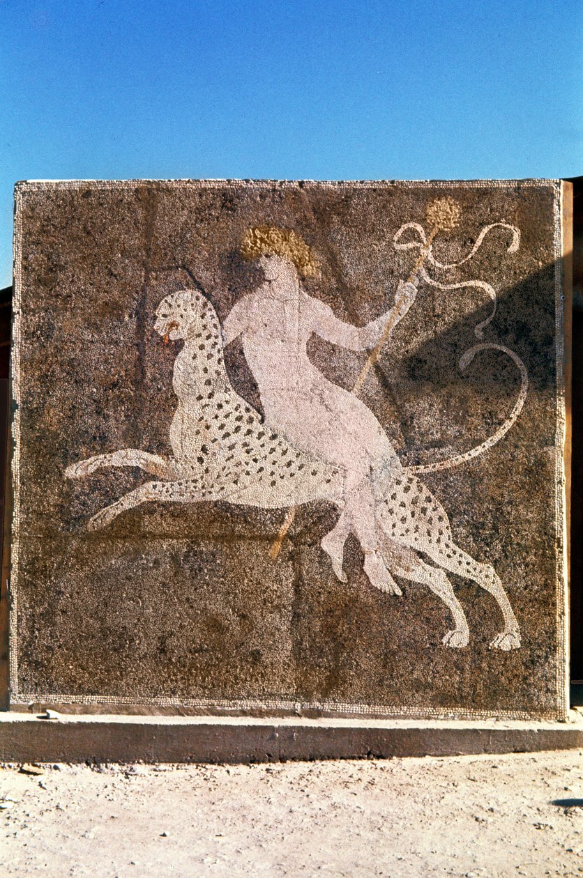 Bacchus Riding a Leopard, 1.-2. århundre e.Kr. (mosaikk) av Roman