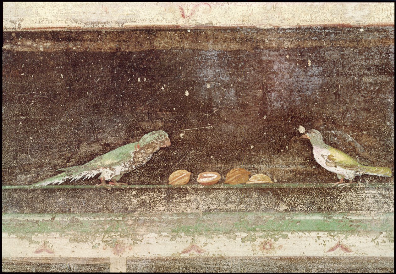 Fugler som spiser nøtter, detalj fra et talinium dekorert med malerier i egyptisk stil, ca. 27-14 f.Kr. av Roman
